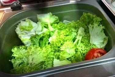 Frische, knackige Salate